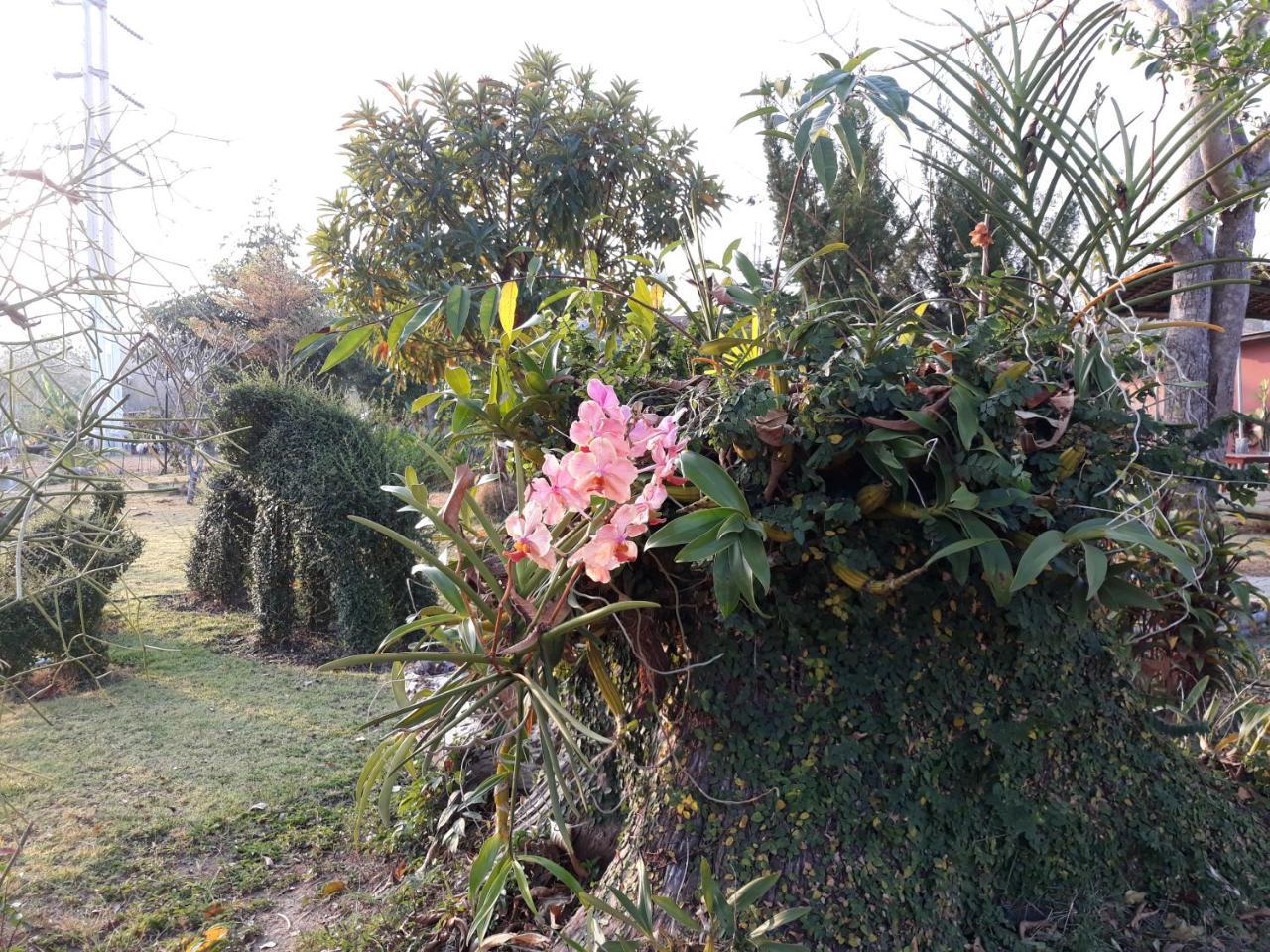 ปอ อา ยอ Pai By Pass Hostel Bagian luar foto